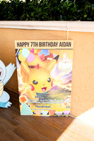 Aiden 7th Birthday Dana