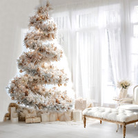 Dreamy Holiday Mini 2025