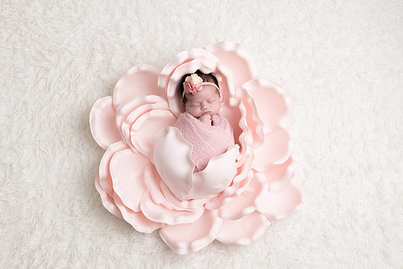 Miami Newborn Photographer