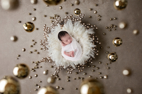 Holiday Newborn