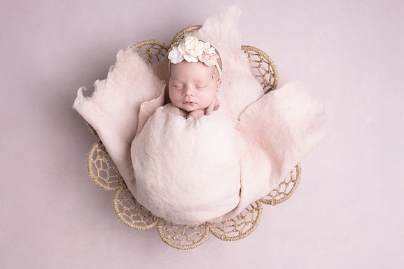 _DSC6655